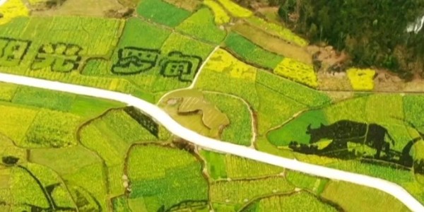 土地的涅槃｜全域土地綜合整治為何爆火？設計院如何搶占風口？